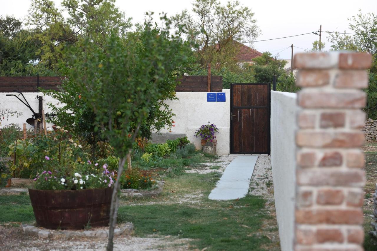 House & Apartment Palaca Donji Zemunik Exteriér fotografie
